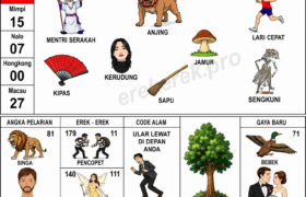Erek Erek 11 Buku Mimpi 2D Bergambar